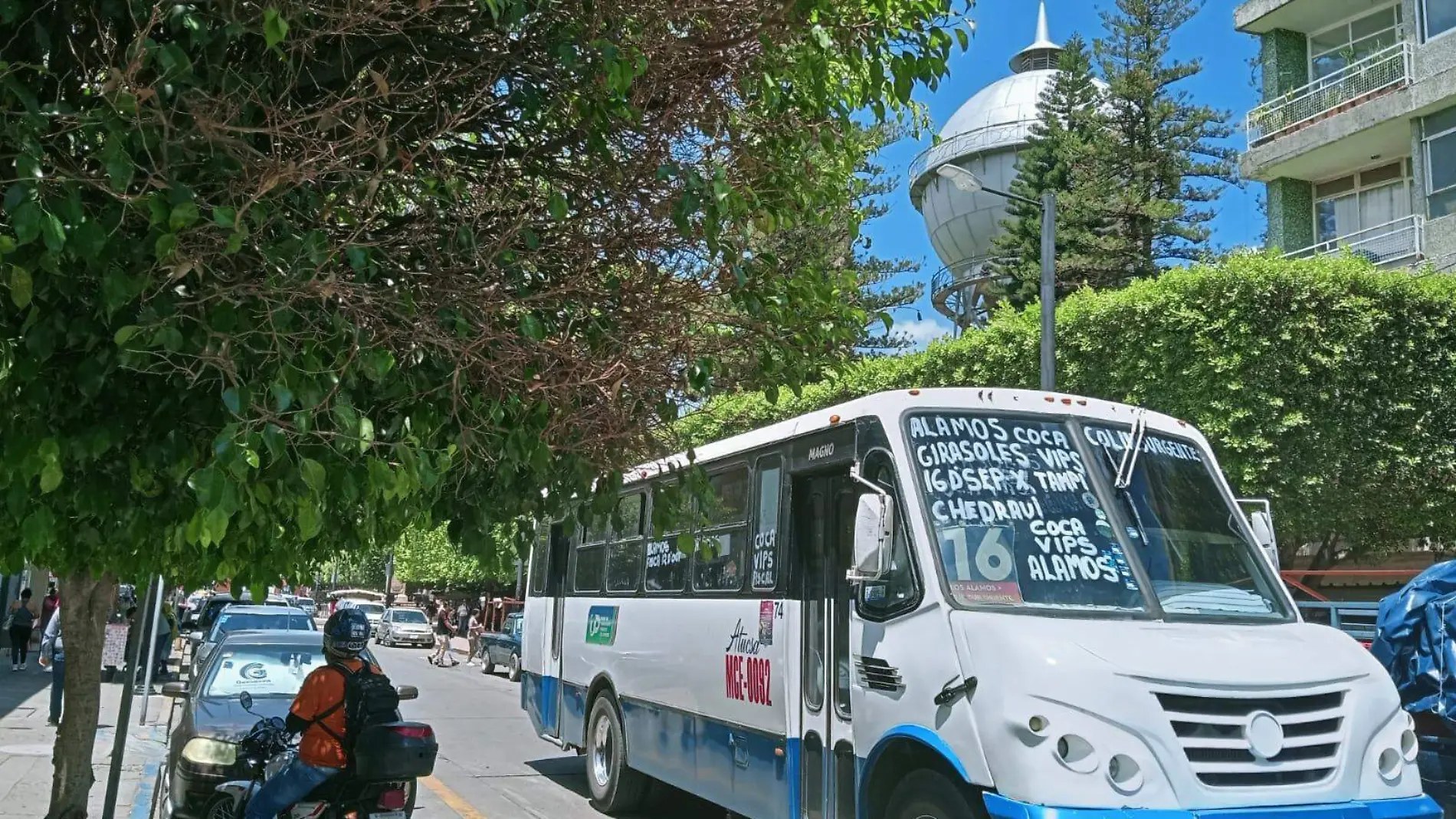 transporte publico (1) ok